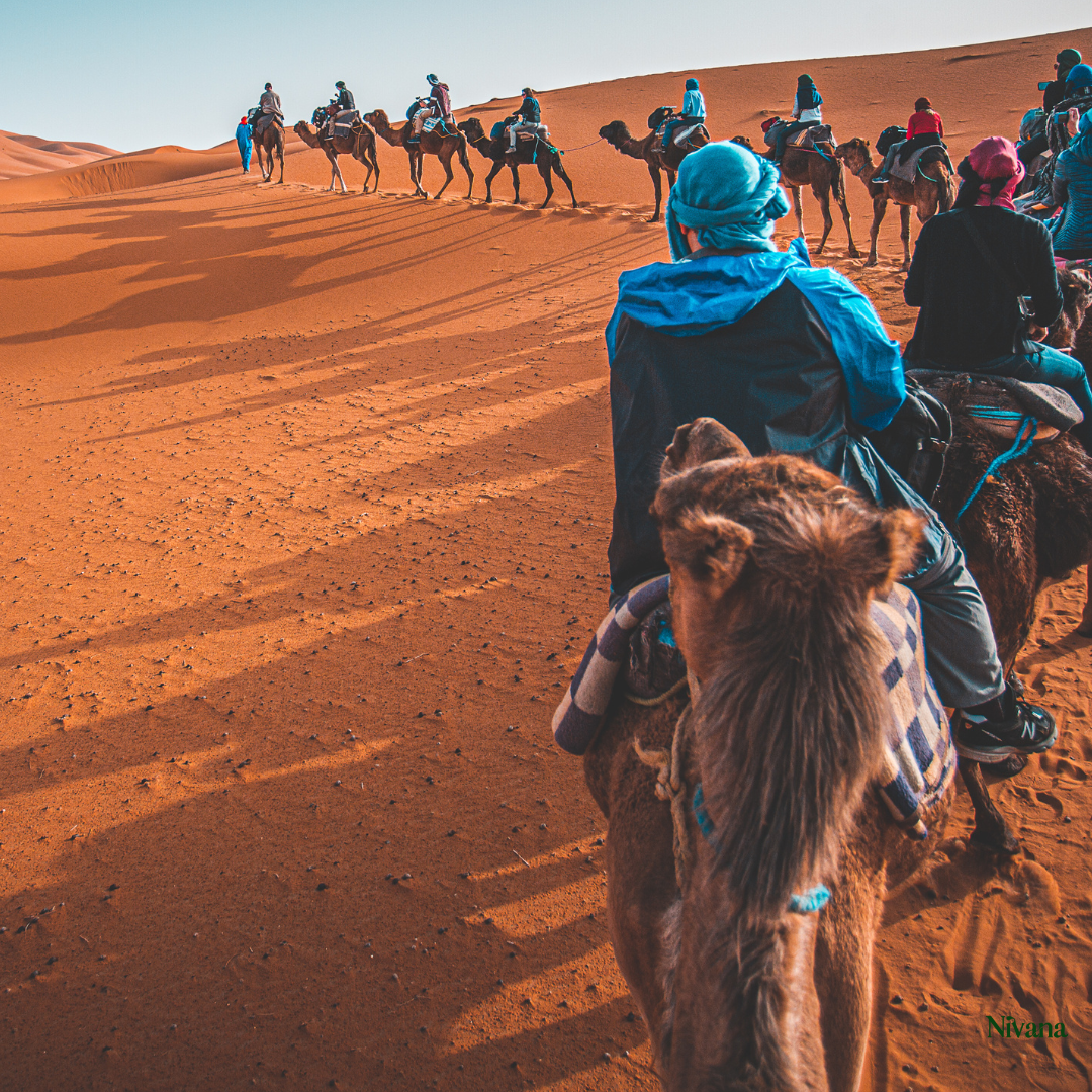 Morocco: Desert Dreams & Hormonal Harmony