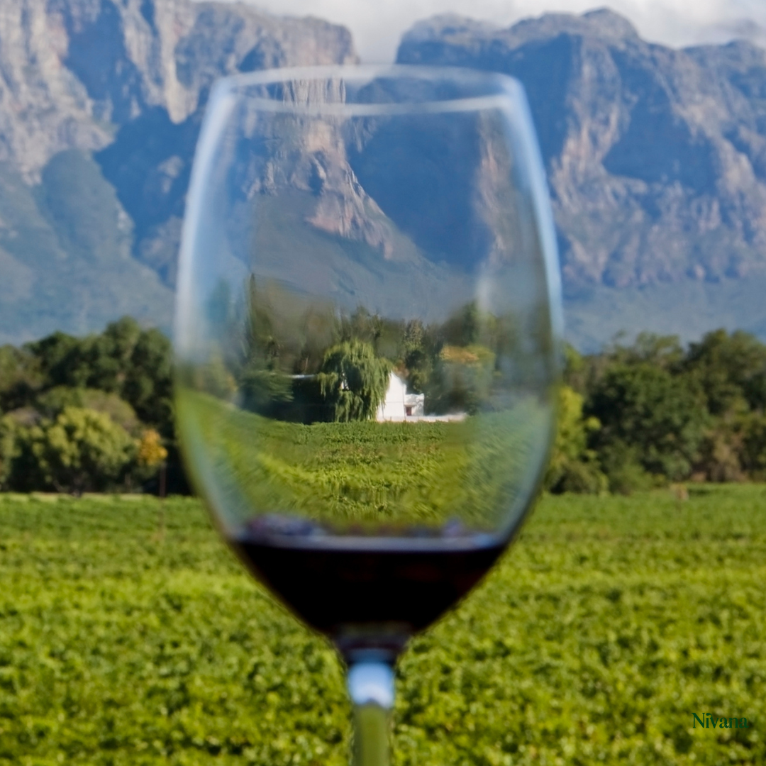 South Africa: Wild + Wine Wellness