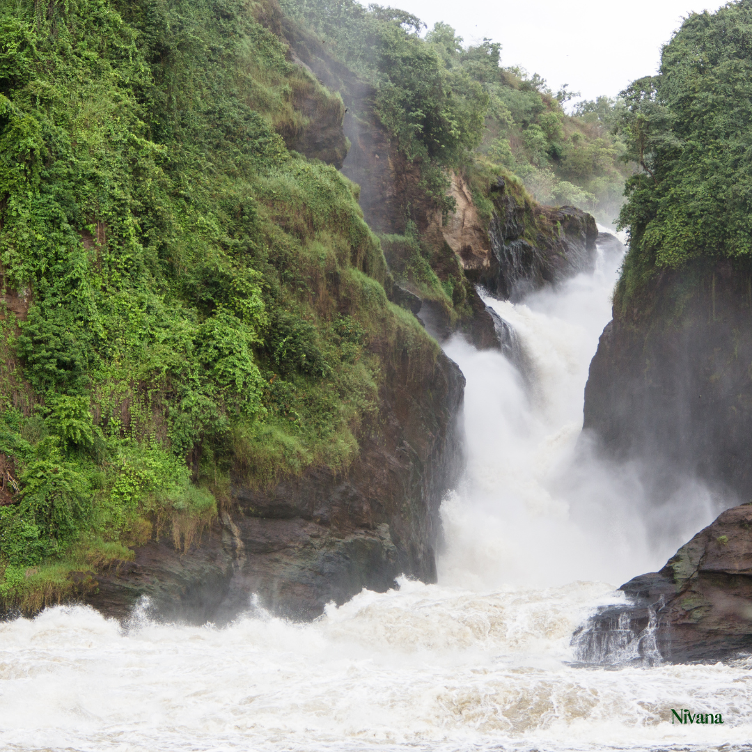 Uganda: Wild Waters & Emotional Reset