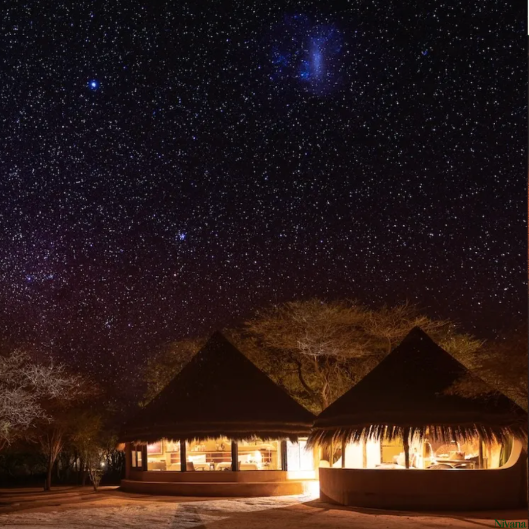 Okonjima luxury bush camp | nivana